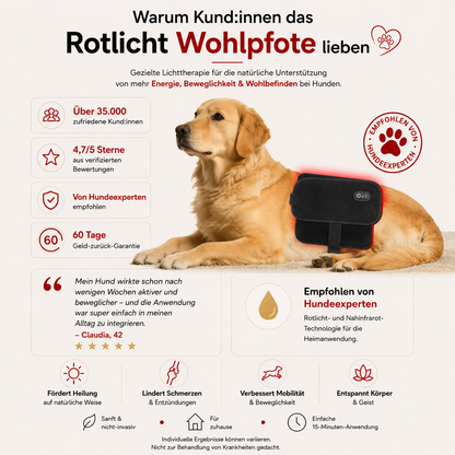 Rotlicht Wohlpfote