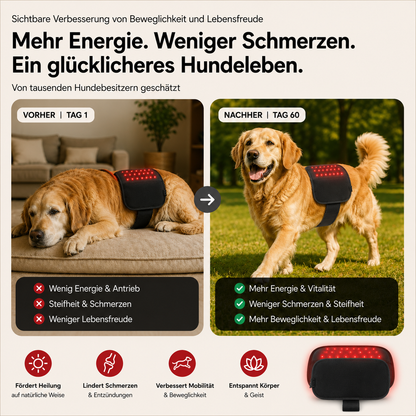 Rotlicht Wohlpfote
