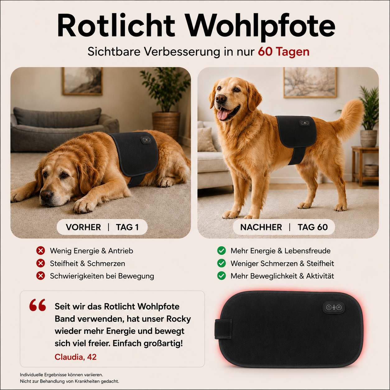 Rotlicht Wohlpfote