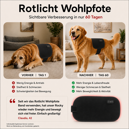 Rotlicht Wohlpfote