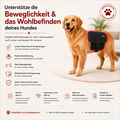 Rotlicht Wohlpfote