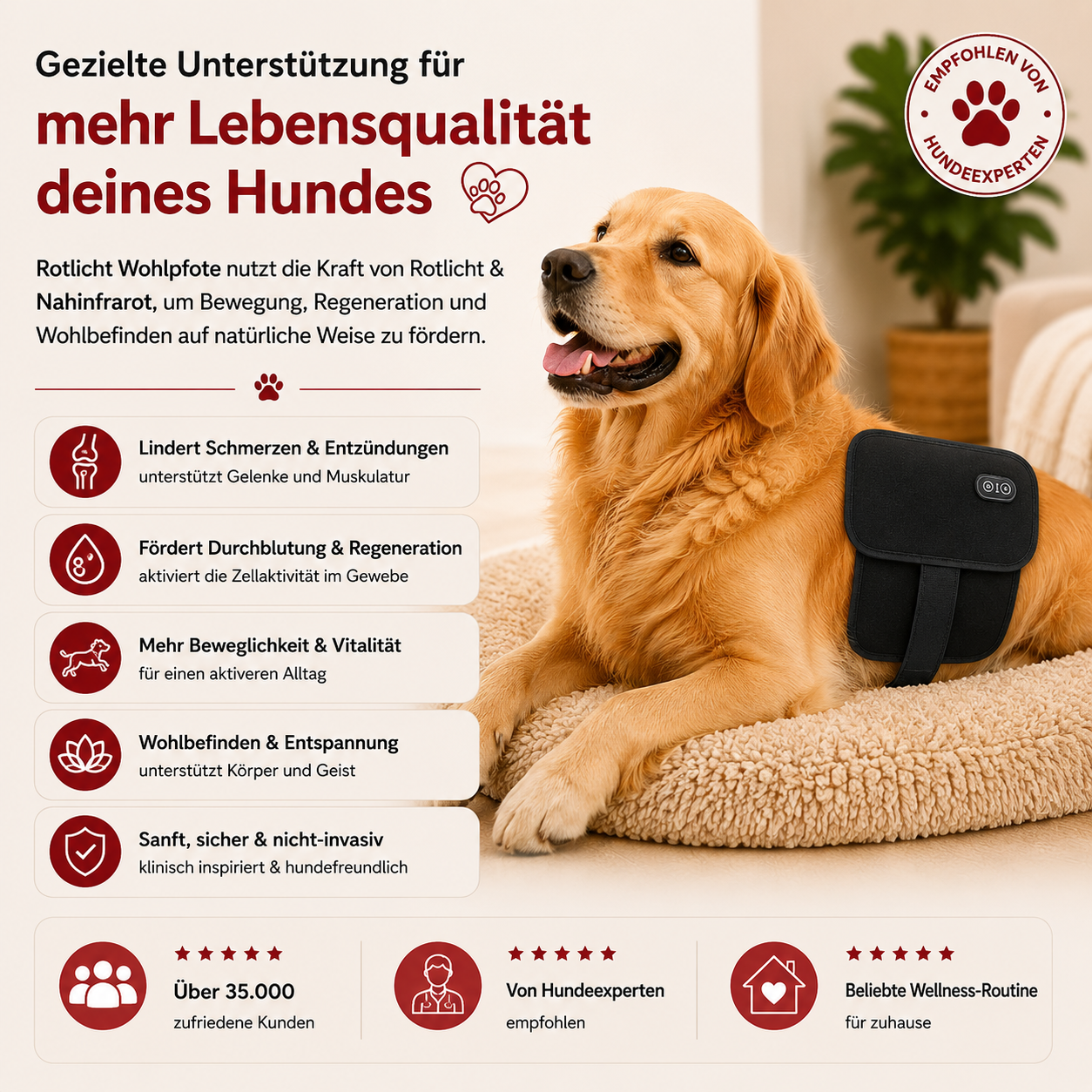 Rotlicht Wohlpfote
